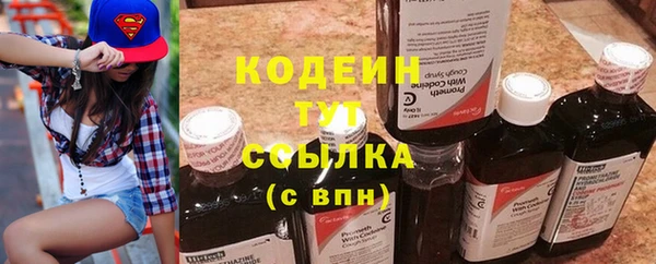 трава Белокуриха