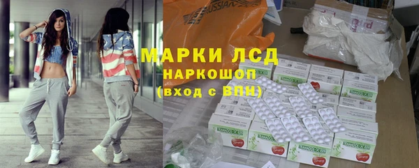 трава Белокуриха