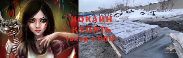 трава Белокуриха